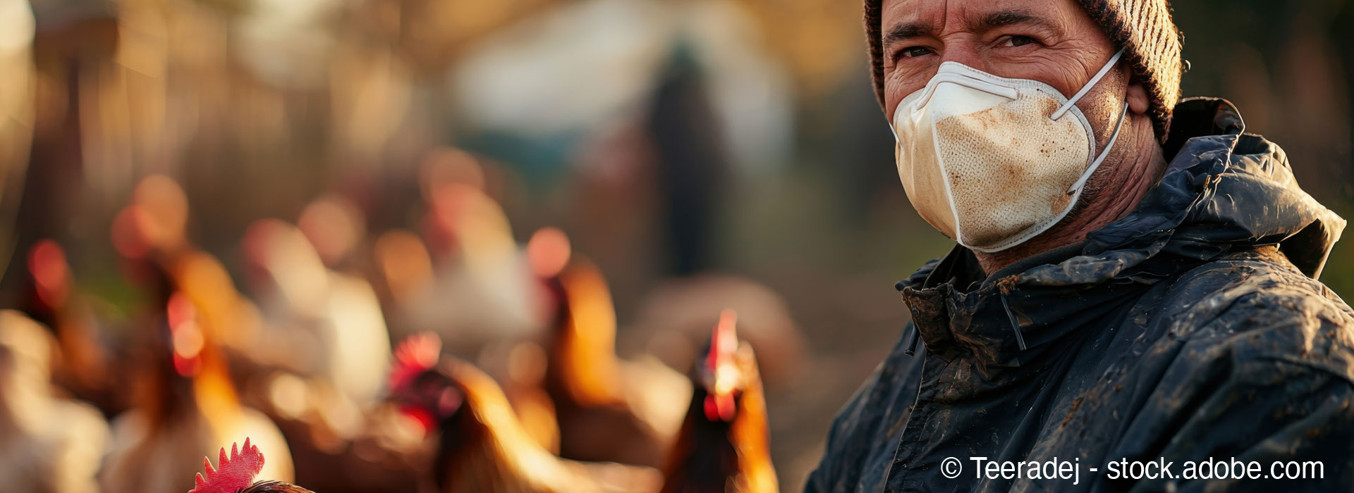 Avian Flu
